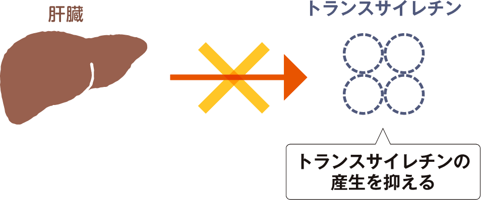 トランスサイレチンが作られないようにする薬の図